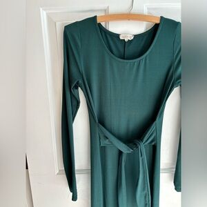 Gorgeous green roolee dress. The tie makes this fit so flattering.